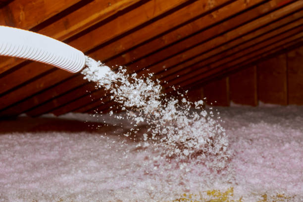 Best Attic Insulation Installation  in Farley, IA